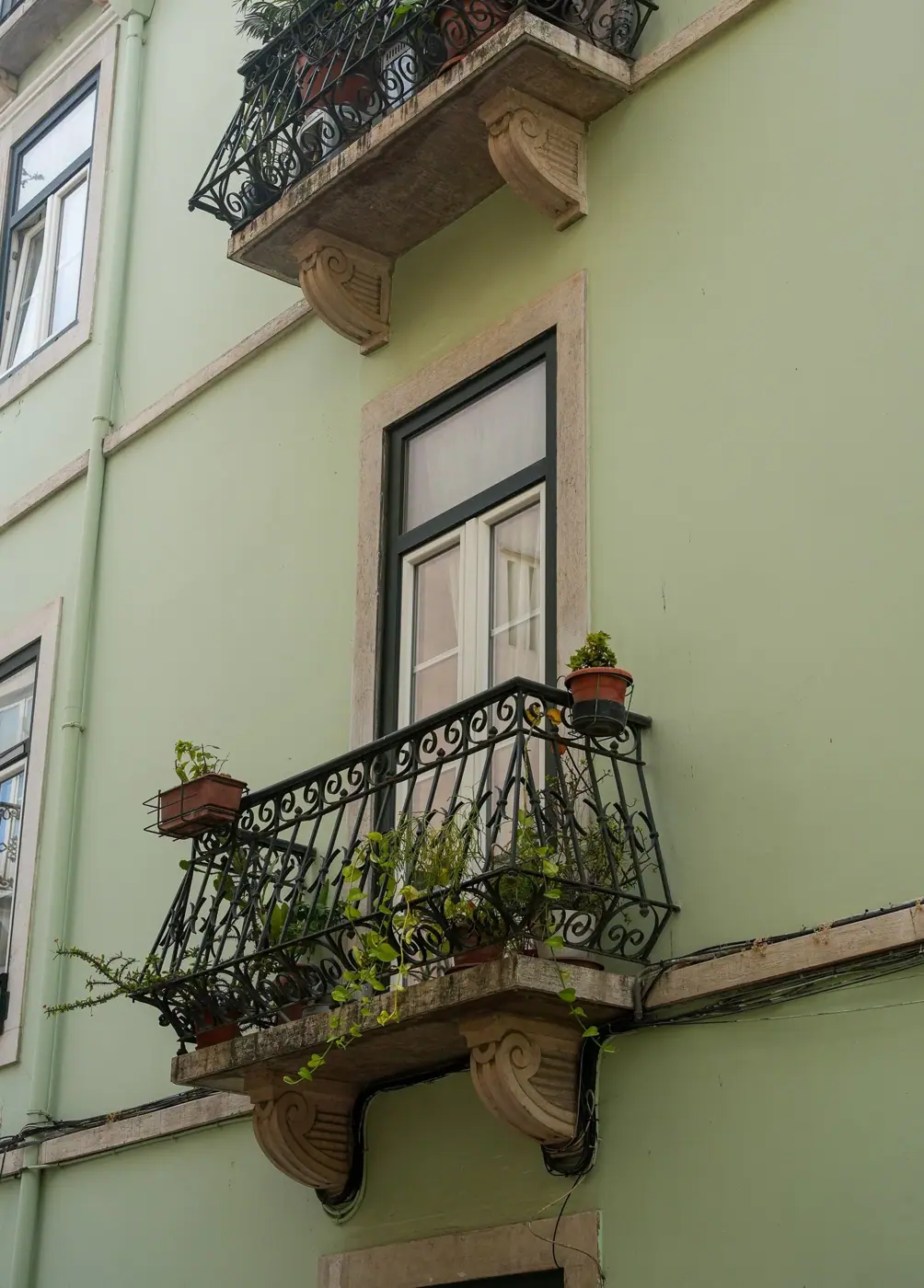 Portugal photo 10
