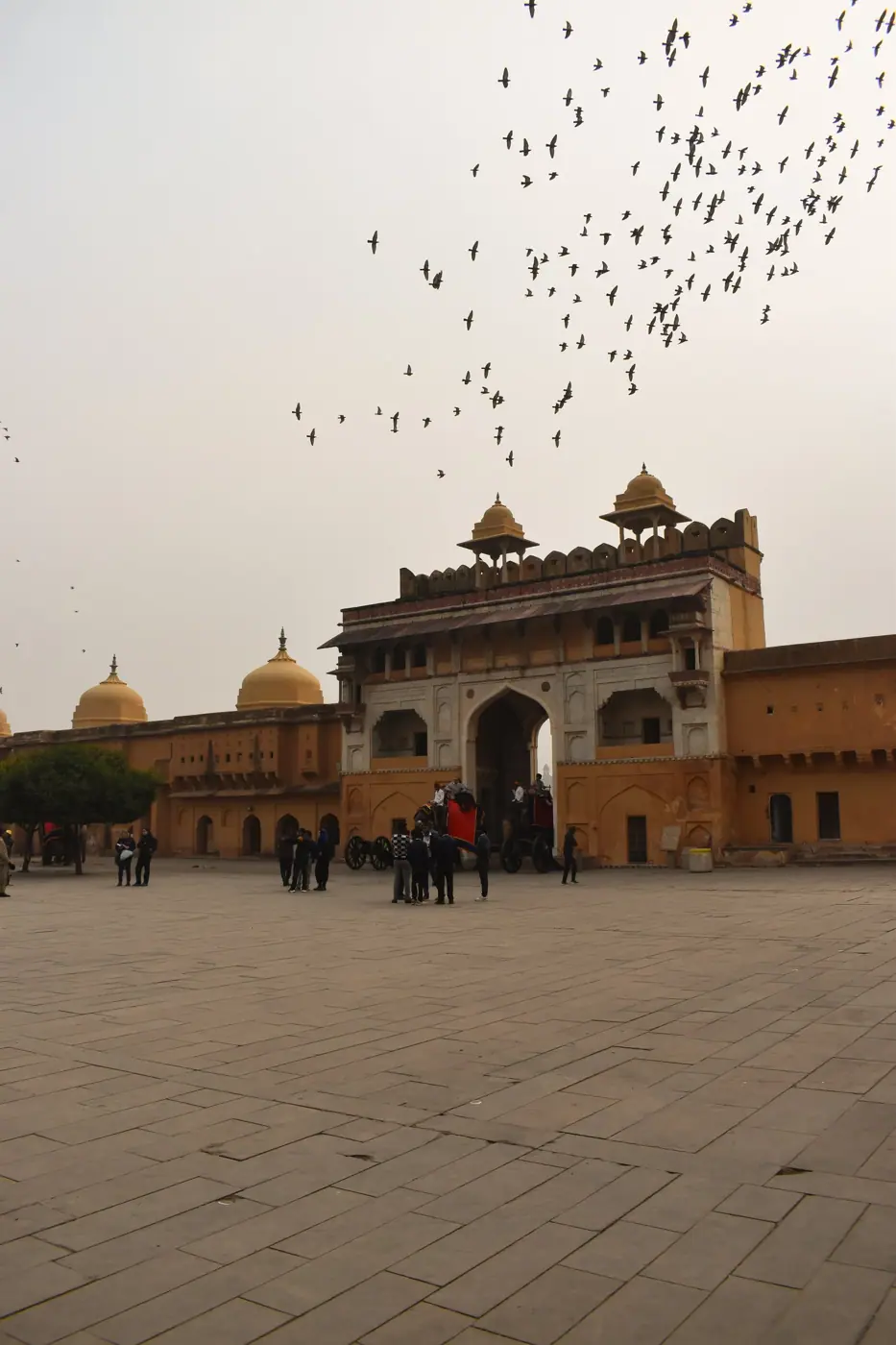 India photo 4