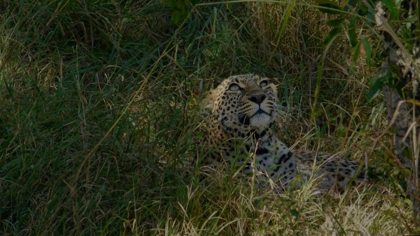 Kenya photo 5