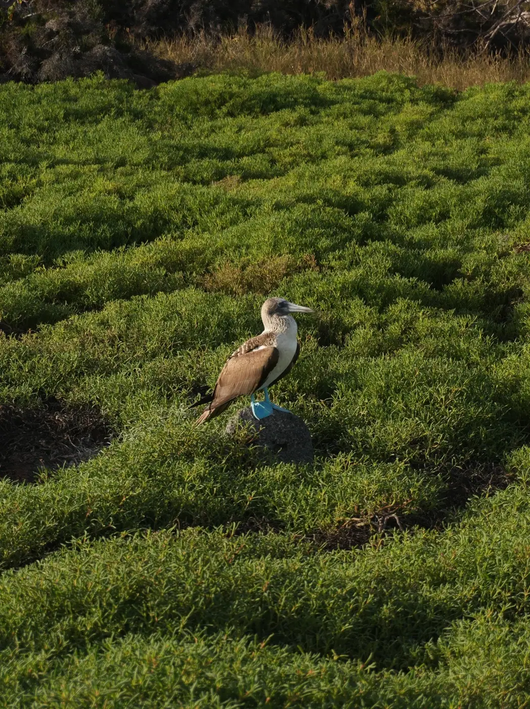 Ecuador photo 35
