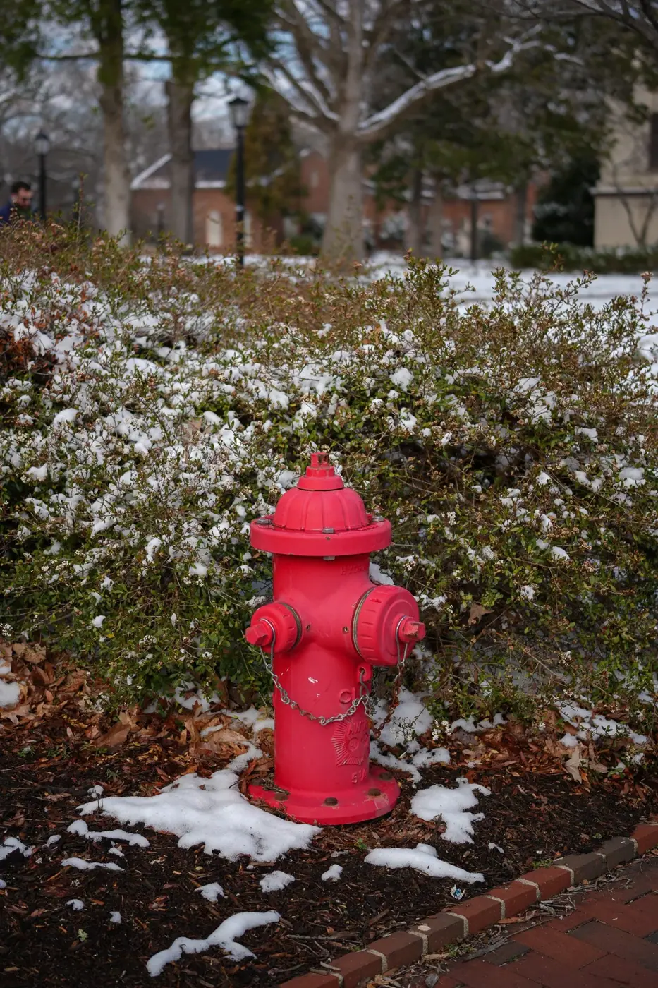 Chapel Hill photo 6