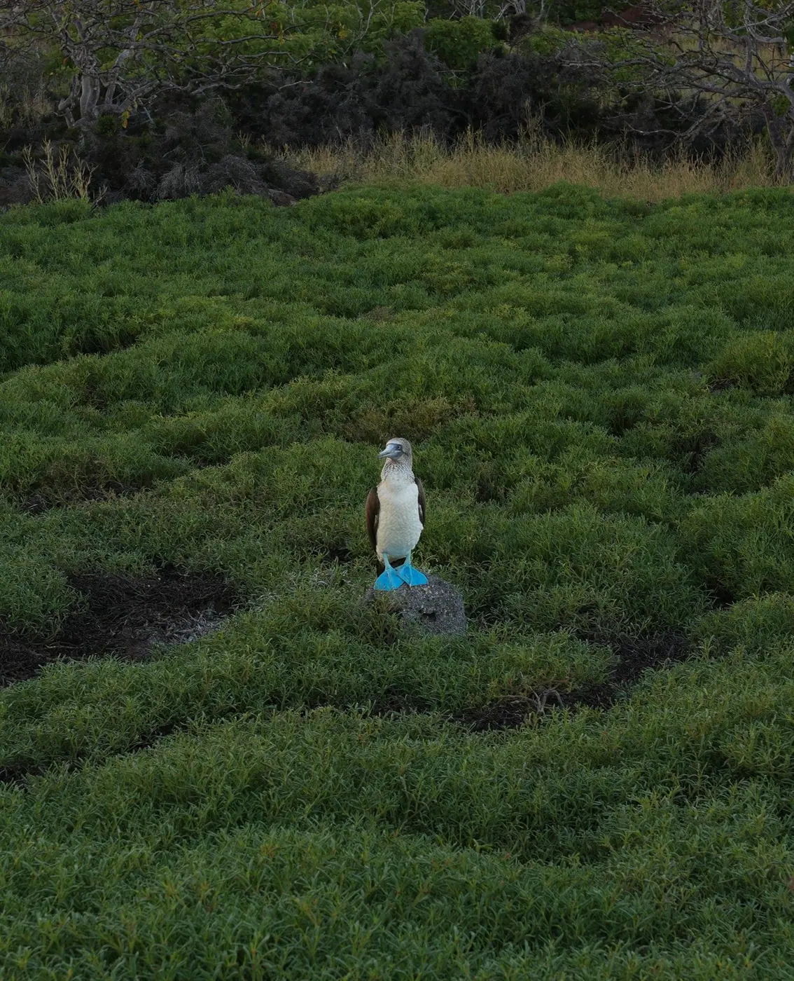 Ecuador photo 16