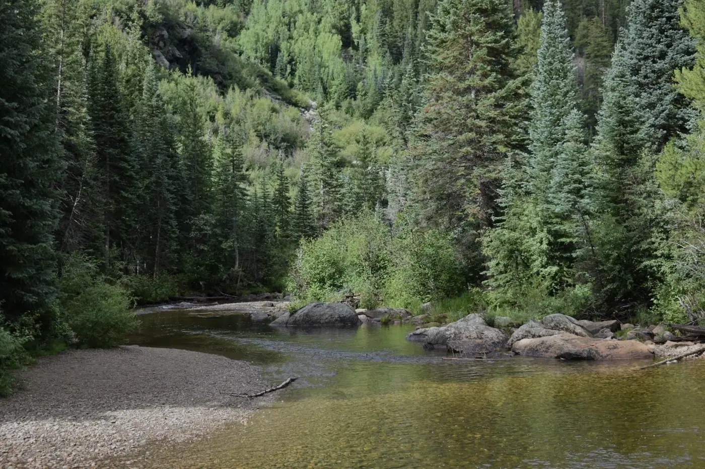 Aspen photo 11