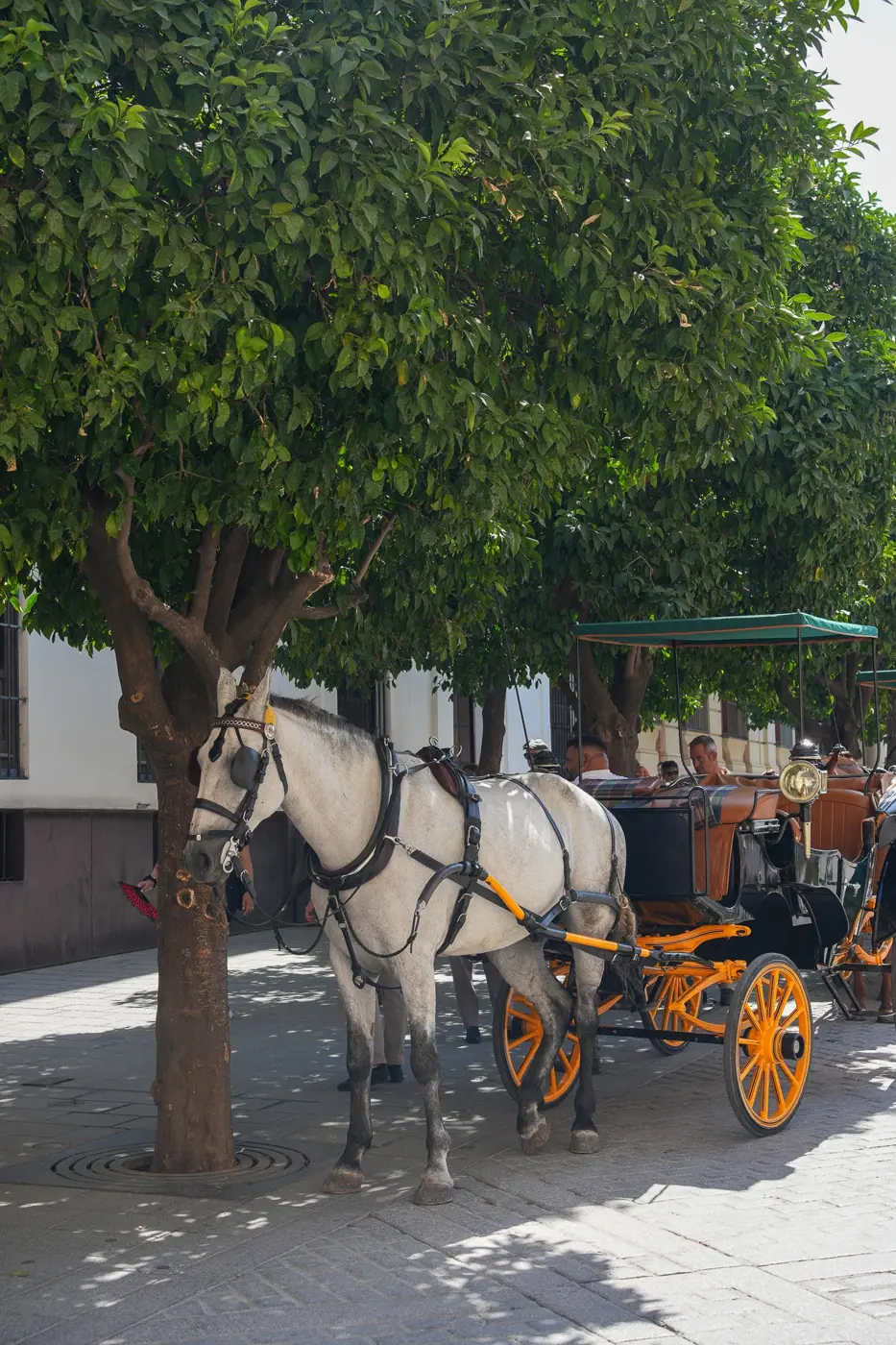 Spain photo 21