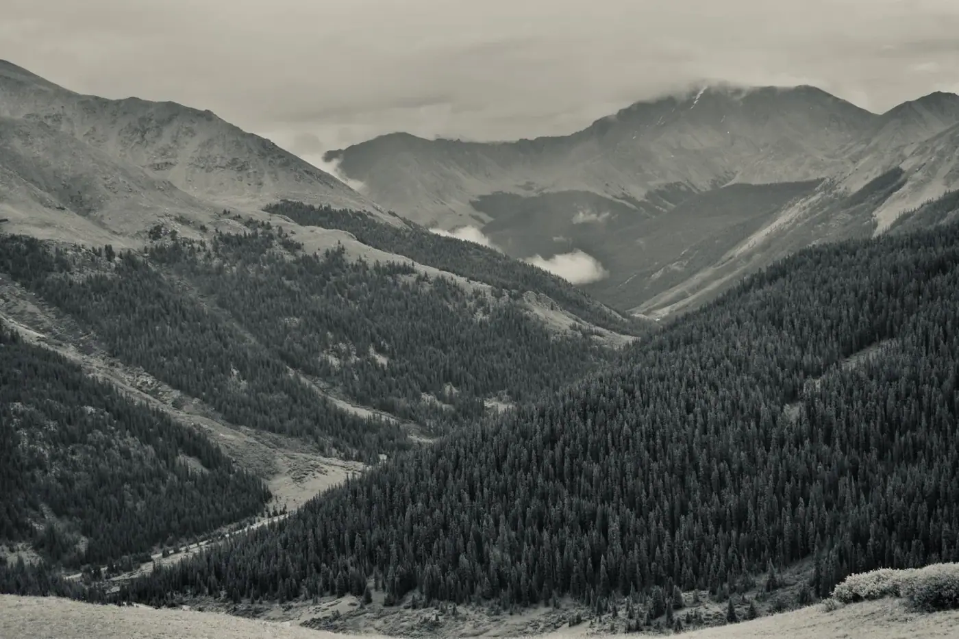 Aspen photo 10