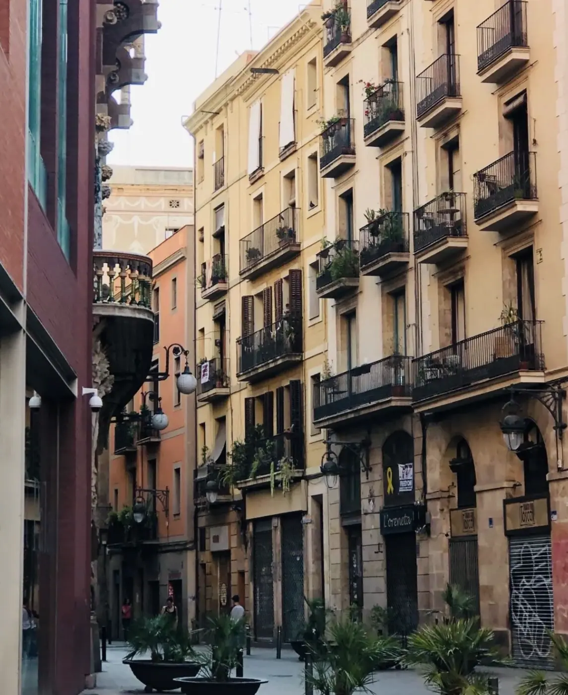 Spain photo 53