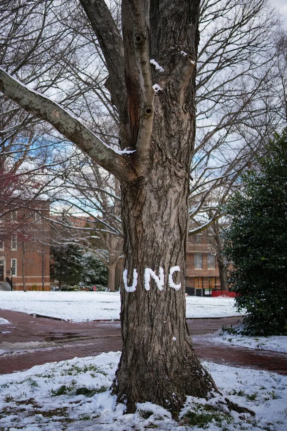 Chapel Hill photo 20