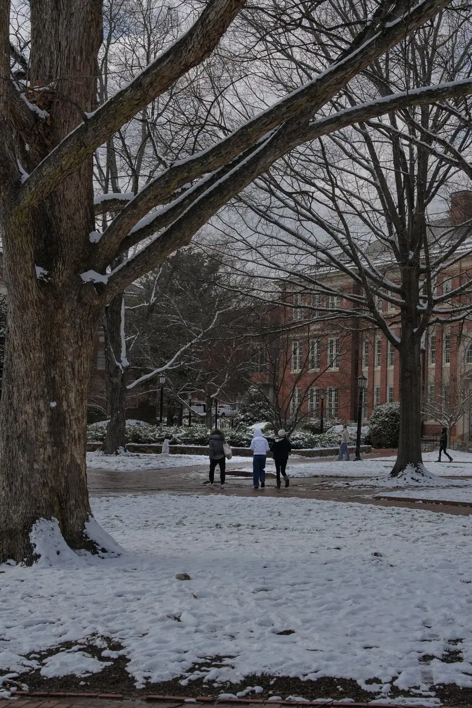 Chapel Hill photo 17