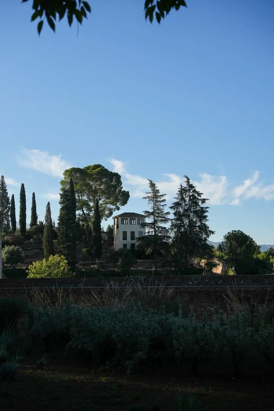 Spain photo 39