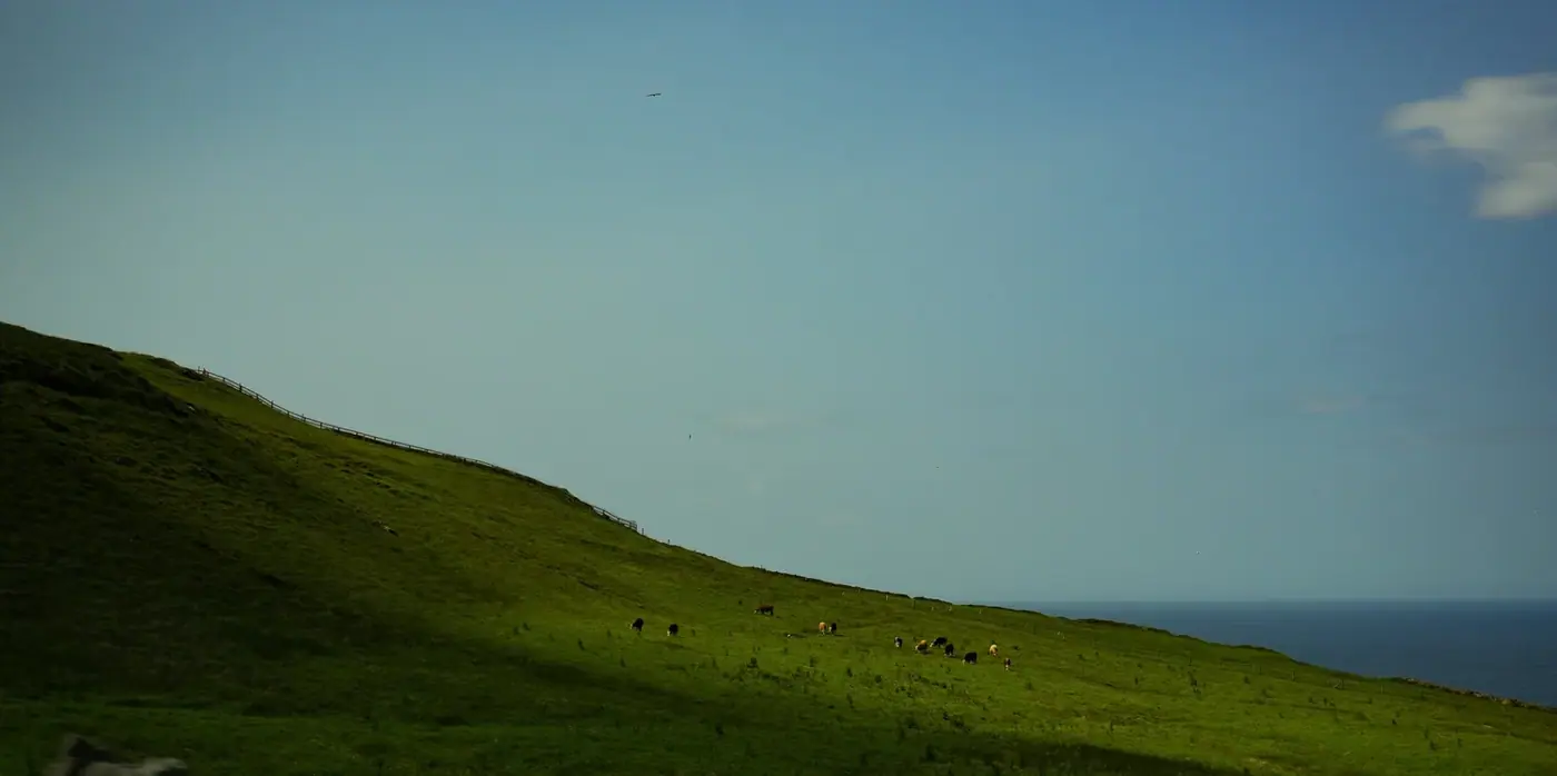 Ireland photo 4