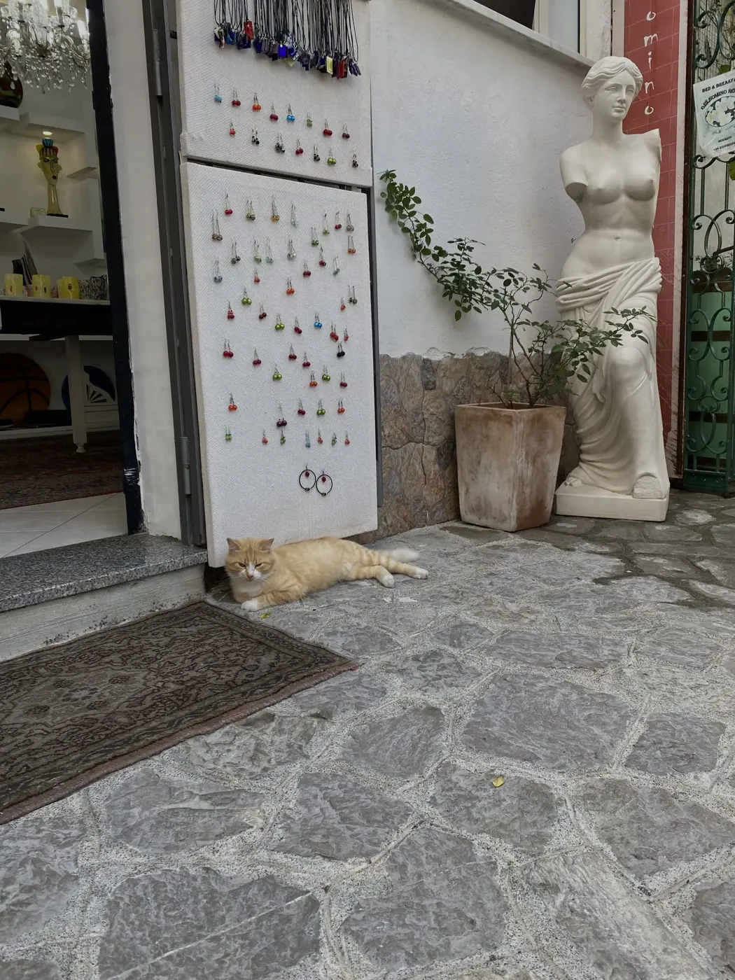 Italy photo 13