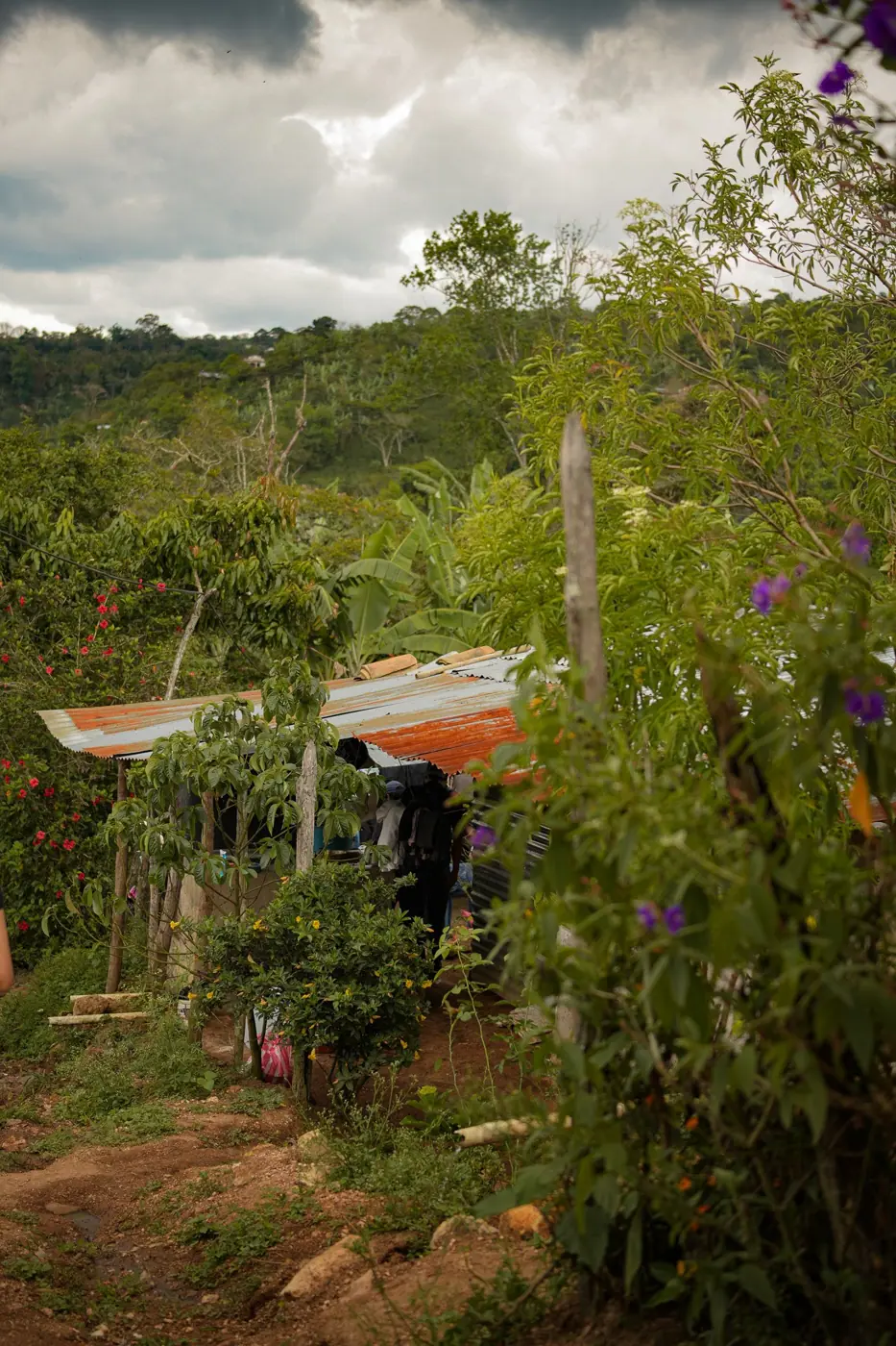 Honduras photo 12