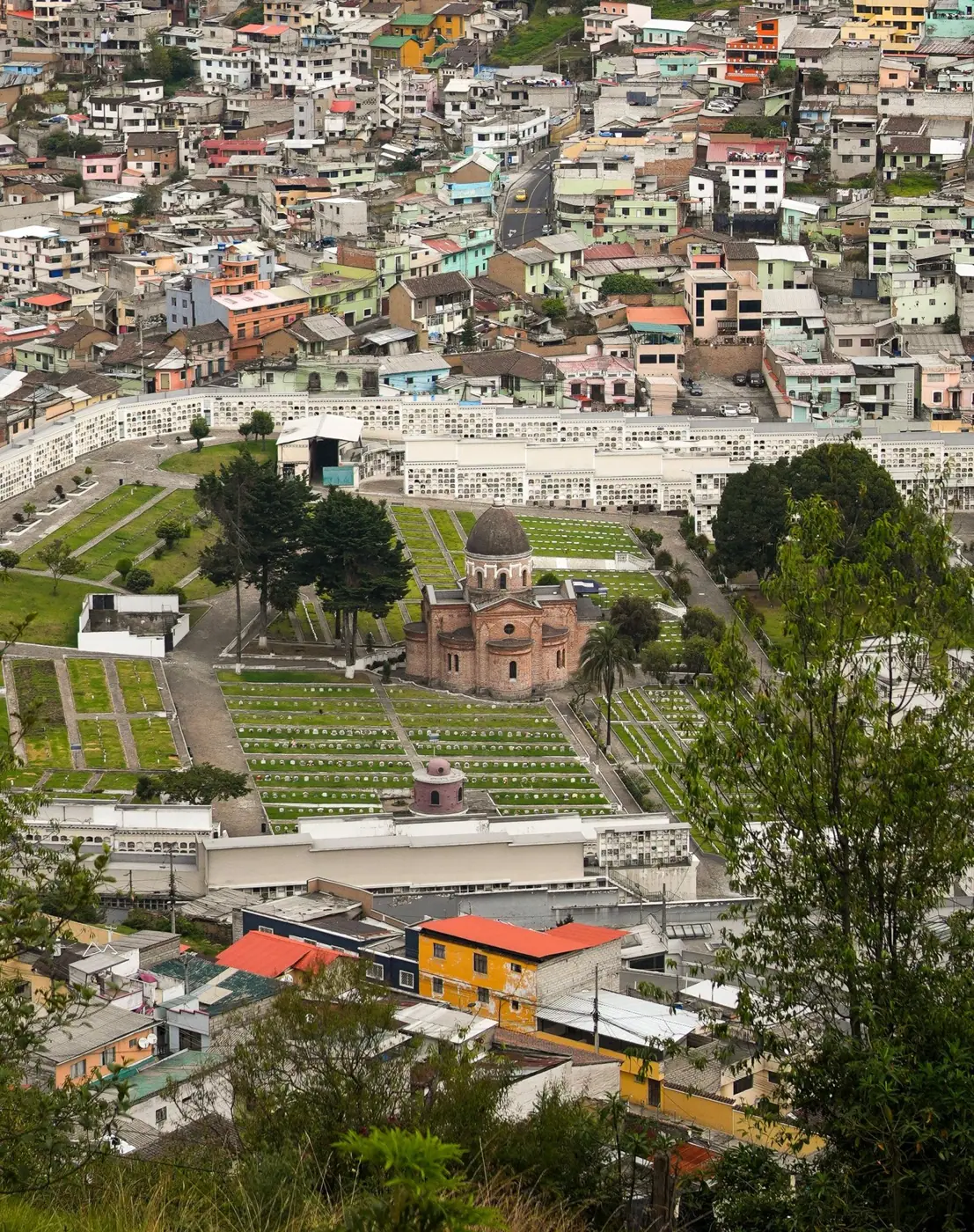 Ecuador photo 17