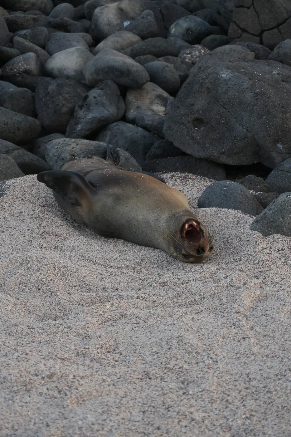 Ecuador photo 8