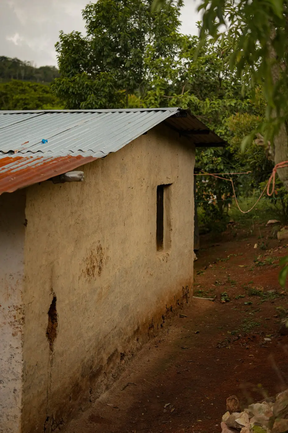 Honduras photo 52